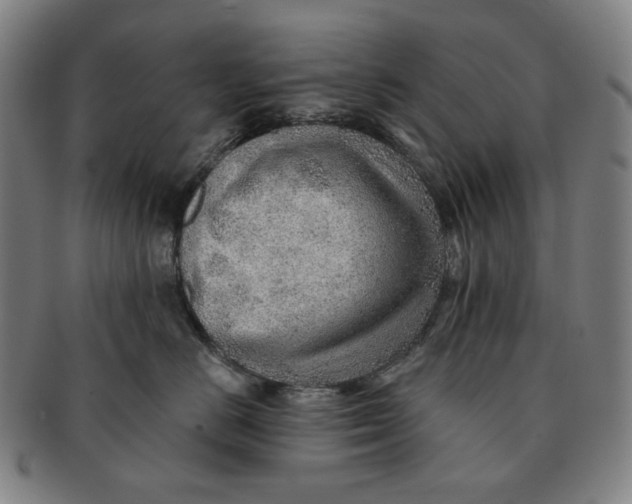 X0000091230670200708301517