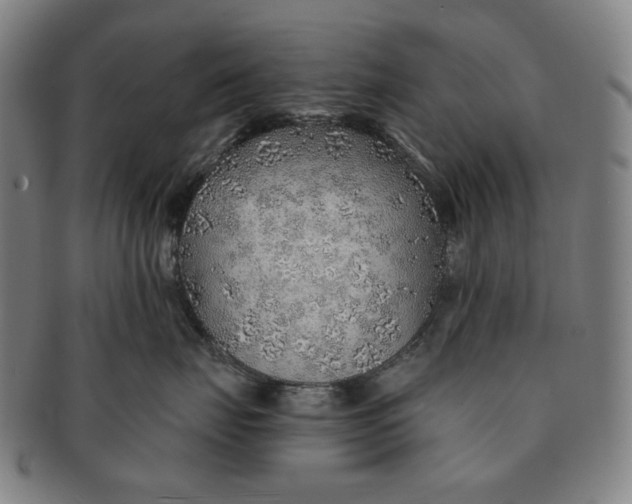 X0000091230671200708301517