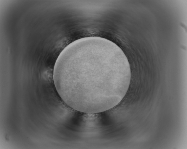 X0000091230672200708301517