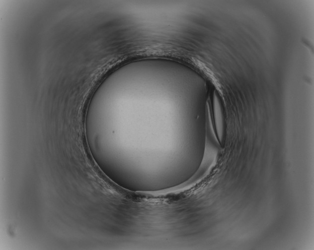 X0000091230673200708301516