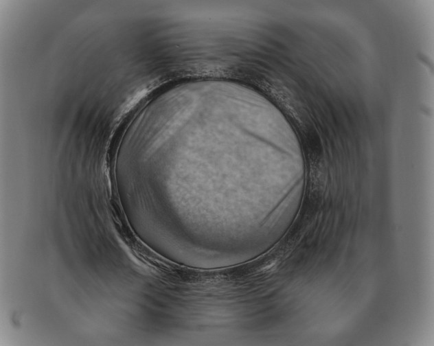 X0000091230674200708301516