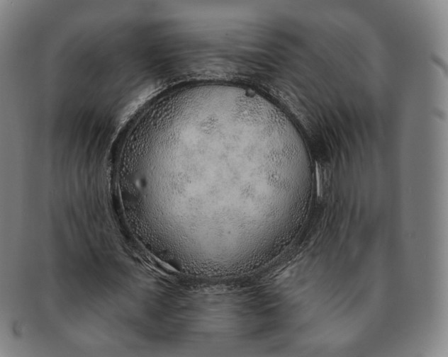 X0000091230675200708301516