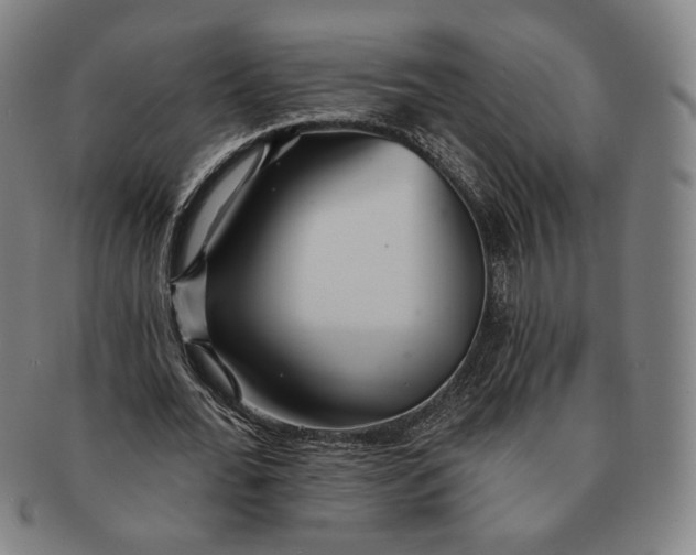 X0000091230676200708301516