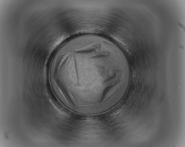 X0000091230678200708301516