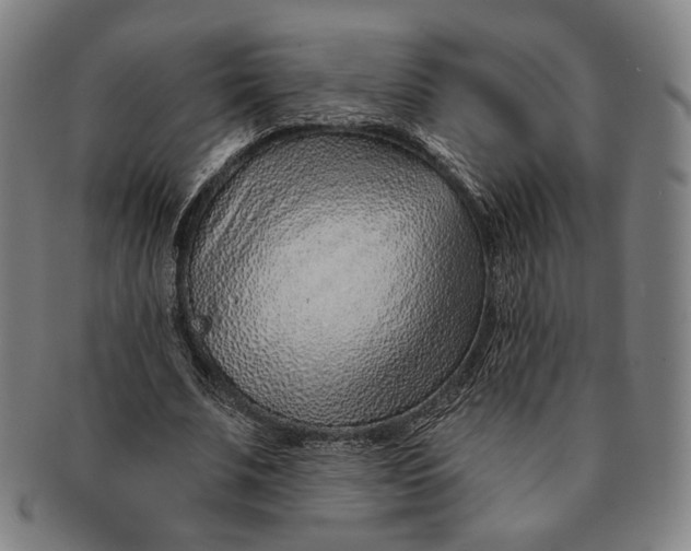 X0000091230679200708301516