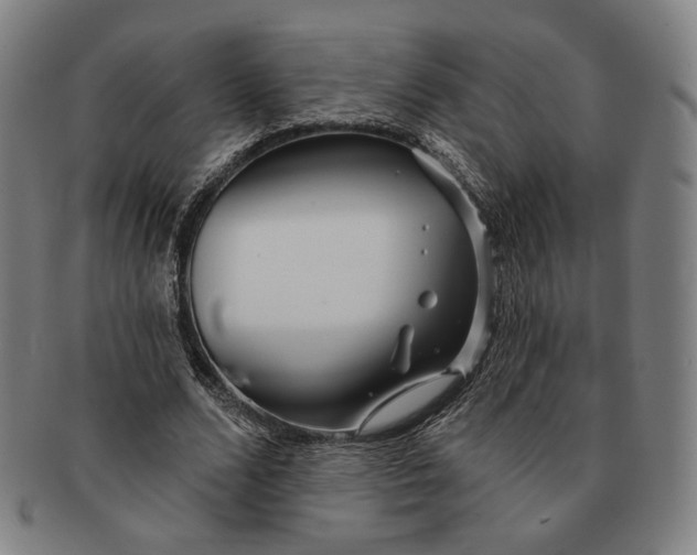 X0000091230680200708301516
