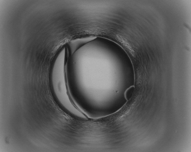 X0000091230681200708301516