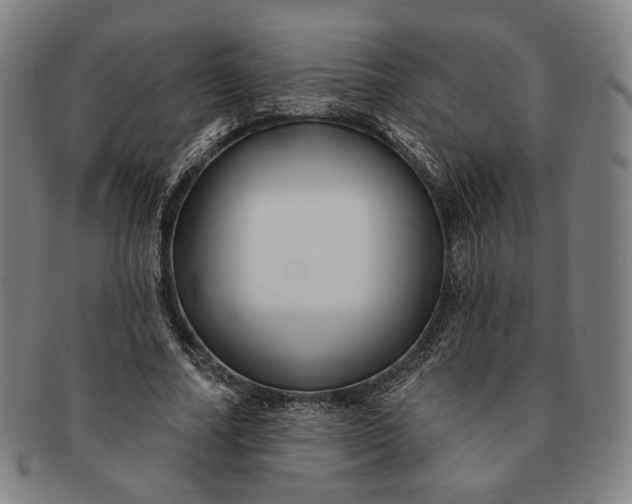 X0000091230682200708301516