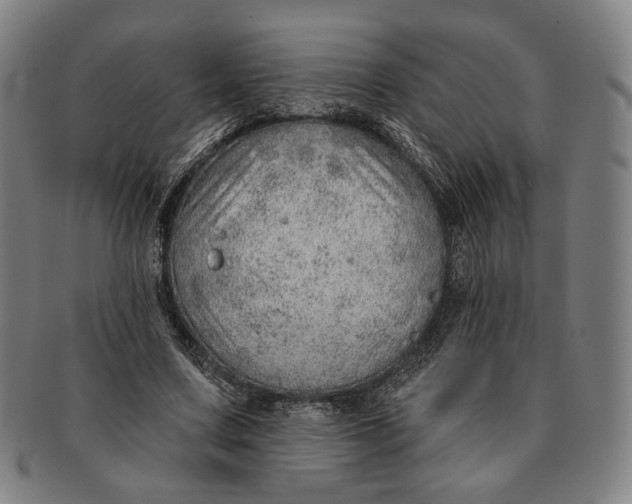 X0000091230683200708301516