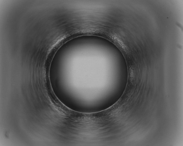 X0000091230684200708301516