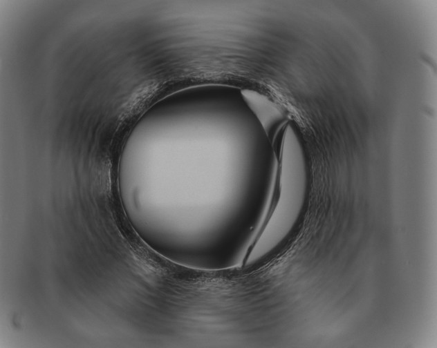 X0000091230685200708301516