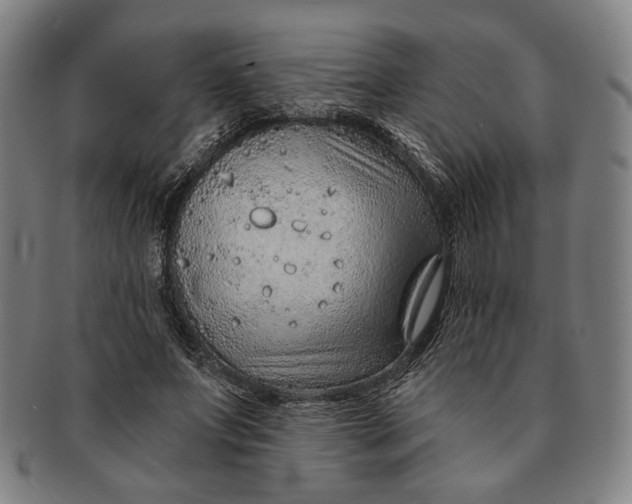 X0000091230687200708301516