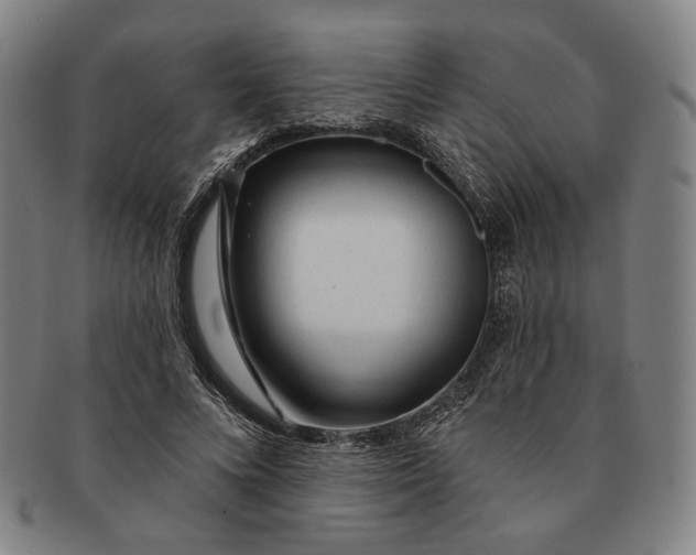 X0000091230688200708301516