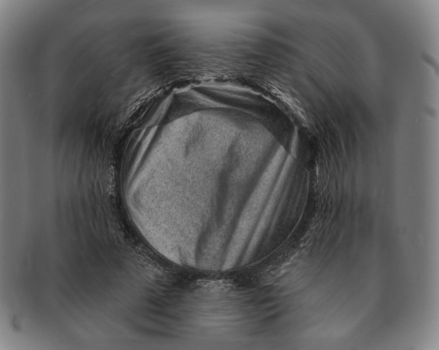 X0000091230689200708301516