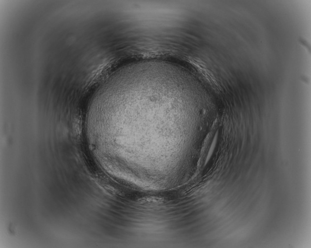 X0000091230691200708301516