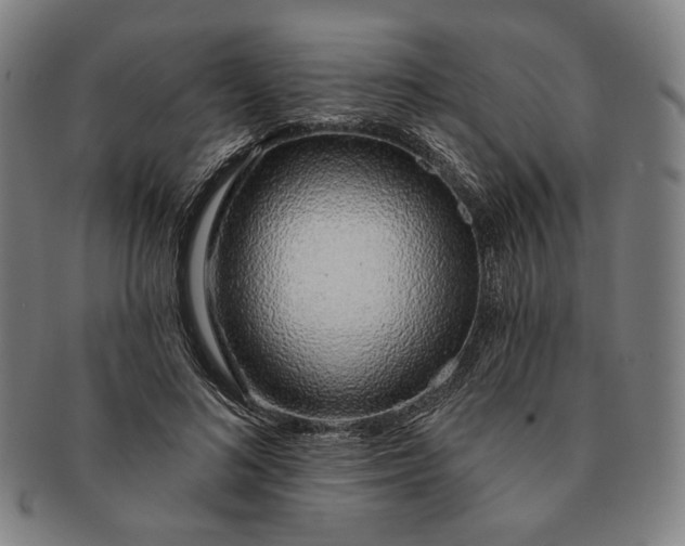 X0000091230692200708301516