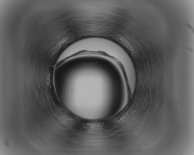 X0000091230693200708301516