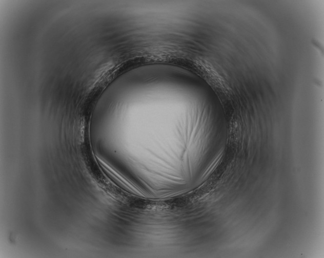 X0000091230694200708301516