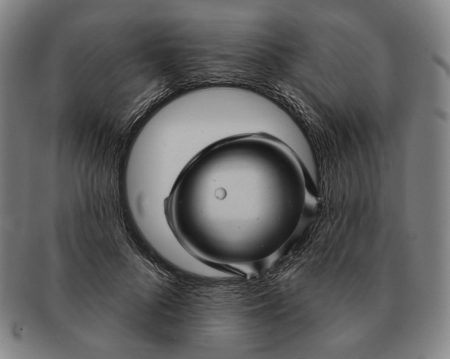 X0000091230696200708301516