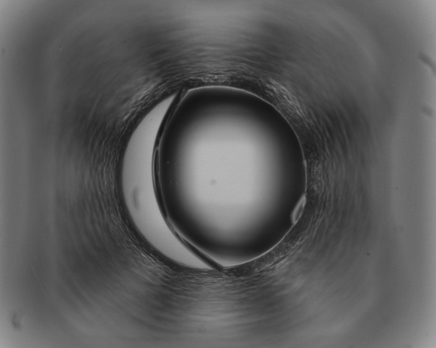X0000091230697200708301516