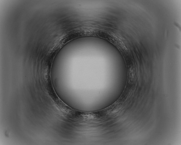 X0000091230698200708301516