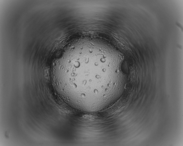 X0000091230699200708301516