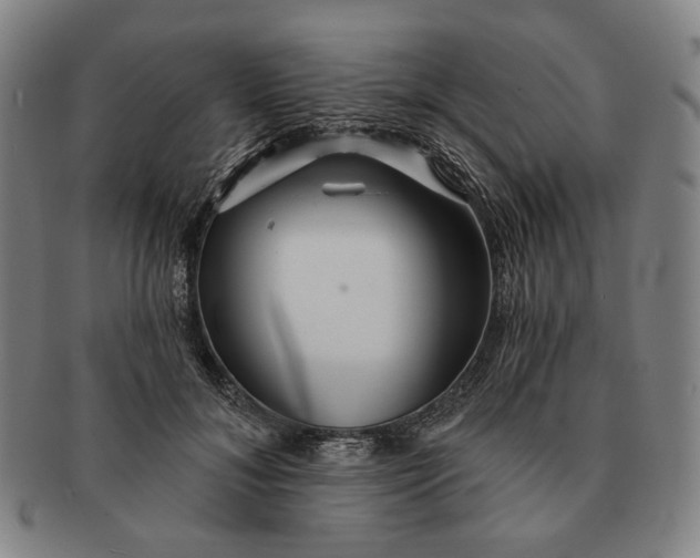 X0000091230700200708301516