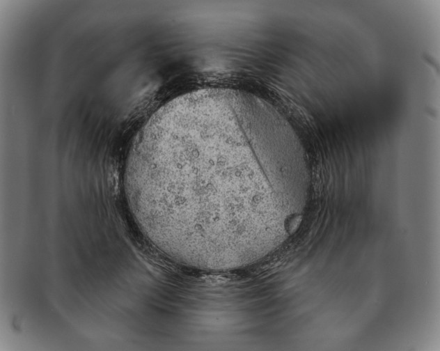 X0000091230703200708301516