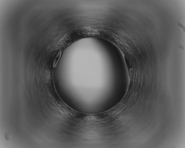X0000091230704200708301516
