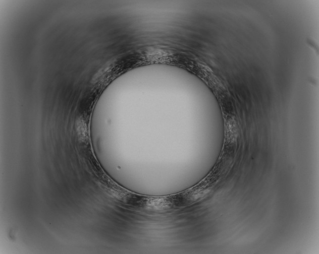 X0000091230705200708301516