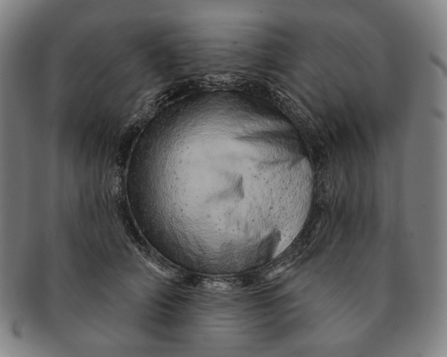 X0000091230706200708301516