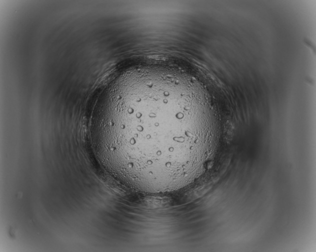 X0000091230707200708301516