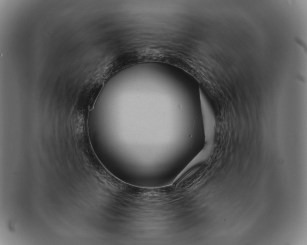 X0000091230708200708301516