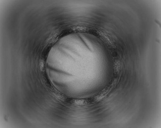 X0000091230709200708301516