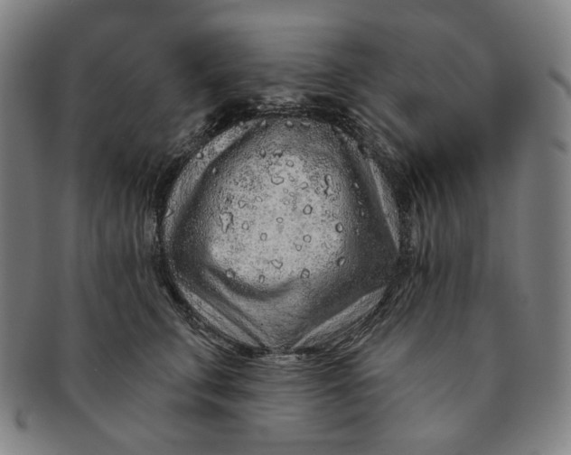X0000091230711200708301516