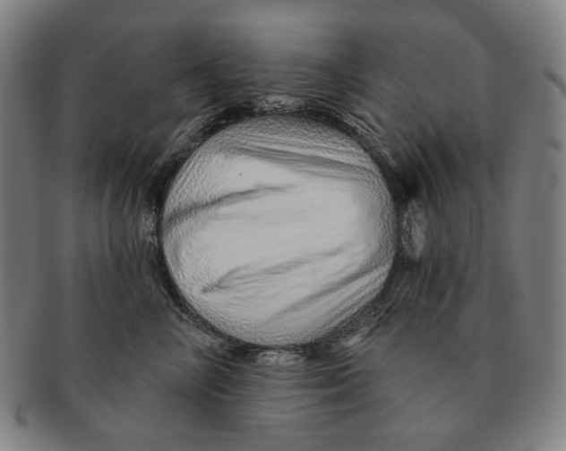 X0000091230714200708301516