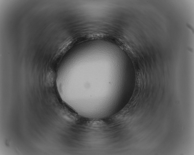 X0000091230716200708301516