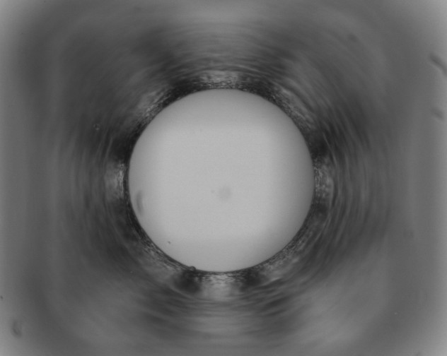 X0000091230717200708301516