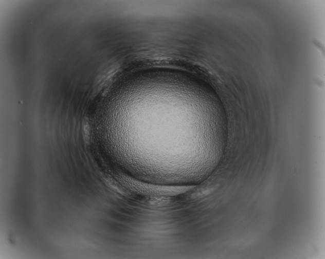 X0000091230720200708301516