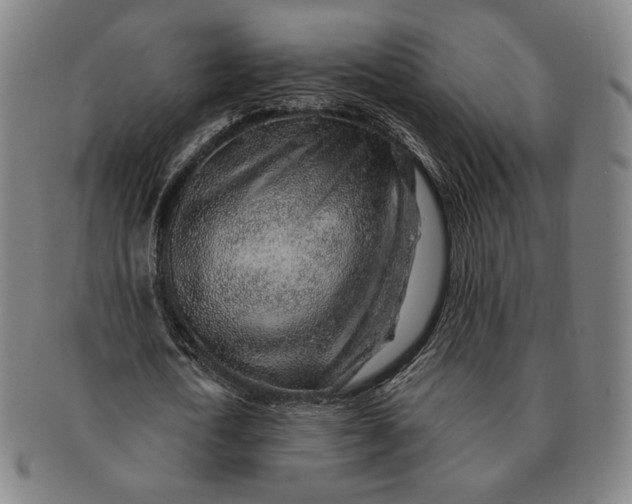 X0000091230722200708301515