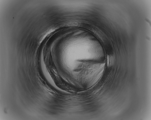 X0000091230723200708301515