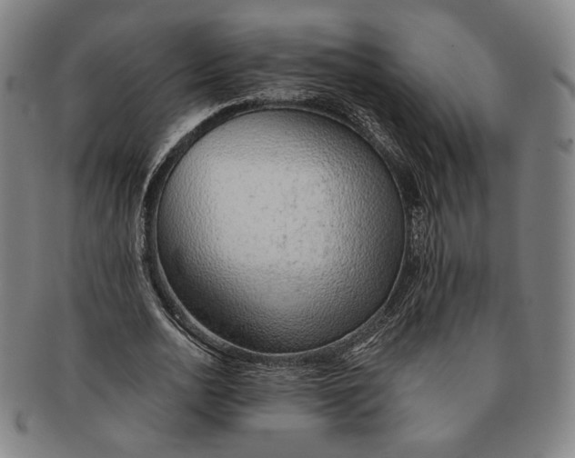 X0000091230726200708301515