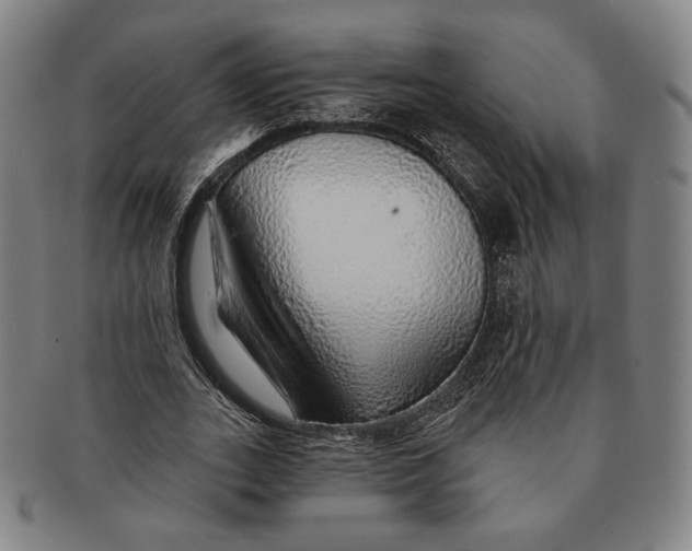X0000091230727200708301515