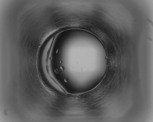 X0000091230728200708301515