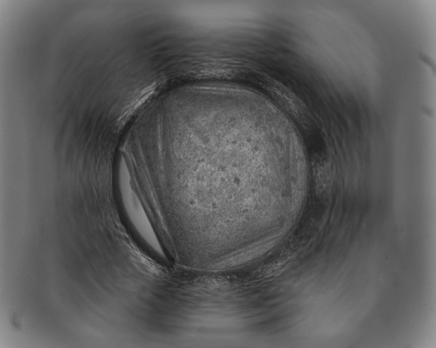 X0000091230729200708301515