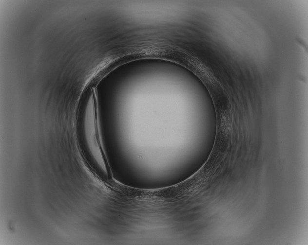 X0000091230730200708301515