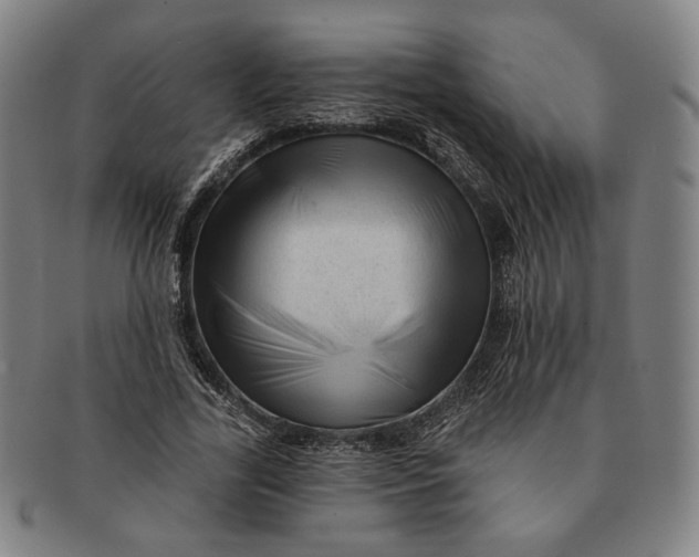 X0000091230731200708301515