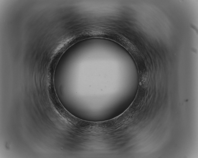 X0000091230732200708301515