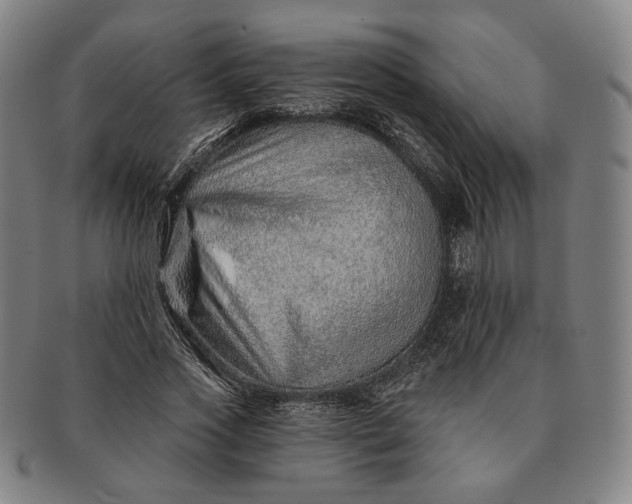 X0000091230733200708301515