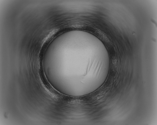 X0000091230734200708301515